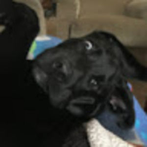 Meet your Posher, Jillian